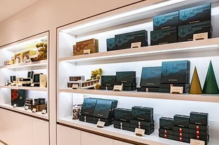 未來零售新機遇 半島酒店母公司如何布局粵港澳大灣區鞋帽精品市場